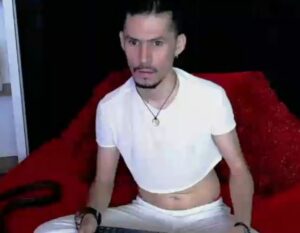 cam 2 cam gay shows